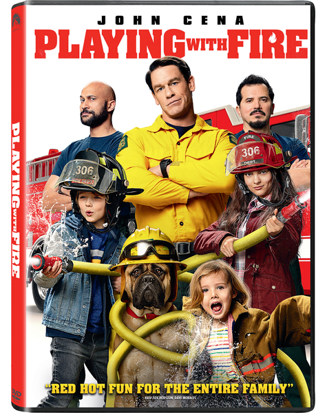 Playing with Fire (DVD)