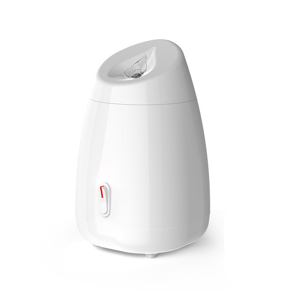 Facial Steamer Spray Mist Home Sauna
