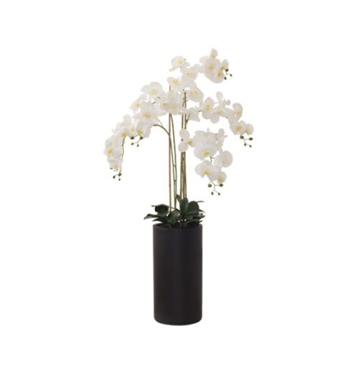 MC Large White Real Orchid artificial Flower 135 cm Shop Today