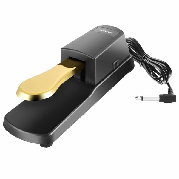 Sustain Pedal for Keyboard, Piano Pedal with Polarity Switch, 1/4 Plug