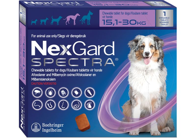 Nexgard Spectra Chewable Tablets for Dogs 15.1-30.0KG - 1 Tablet