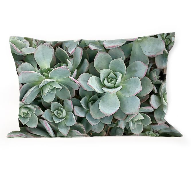 Succulent Green Throw Pillow and Feather Inner