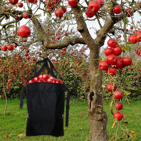 FCOUIID Harvest Apple Picking Bag - Waterproof Heavy Duty 420D Fruit  Storage Apron Pouch for Garden, Orchard, Farm