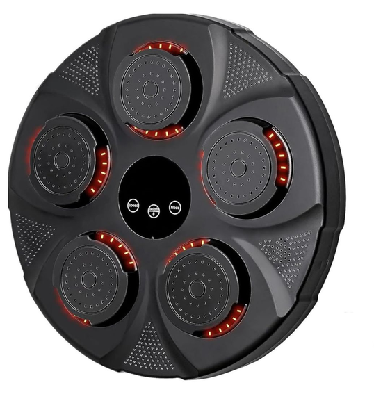 Wall Mounted Electronic Punching Target