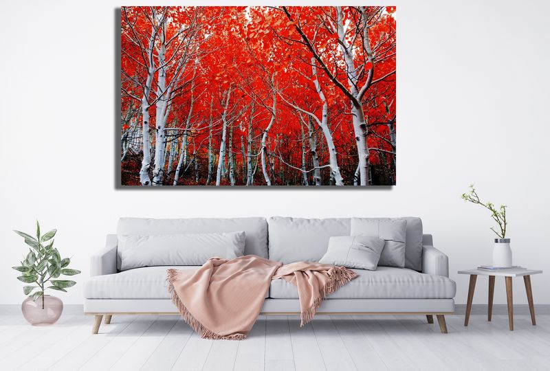 0032 Beautiful Walk in Red Leaves Canvas