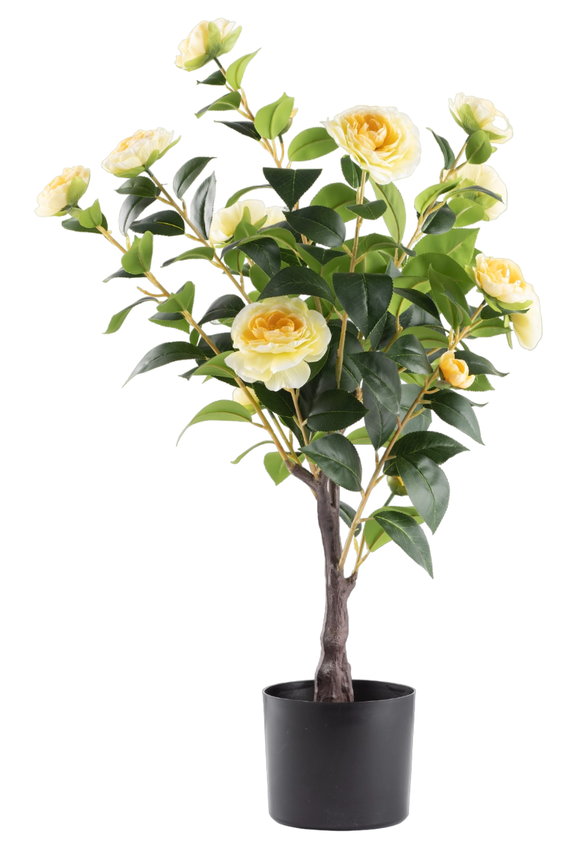 Artificial Camelia Rose Plant - 800mm | Shop Today. Get it Tomorrow ...