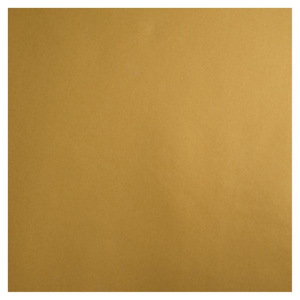 Gift Wrapping Paper - 5m Roll - Millionaire