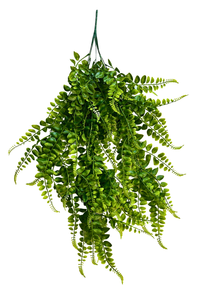 Artificial Hanging Ostrich Fern Vine - 70cm | Shop Today. Get it ...