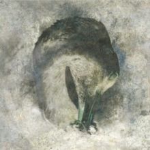 Ashes (CD / Album)