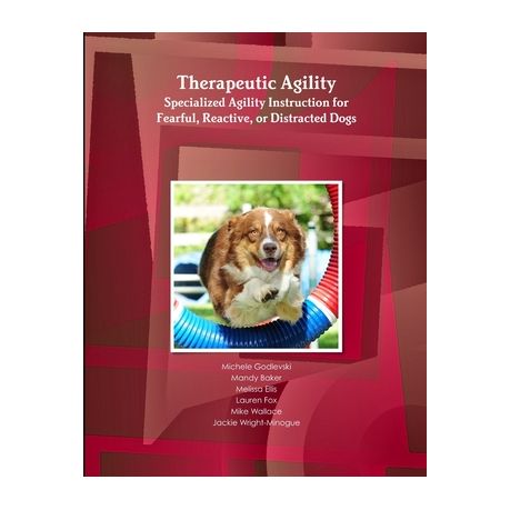 Therapeutic Agility Shop Today. Get it Tomorrow takealot