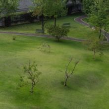 Mabe Fratti: Pies Sobre La Tierra (Vinyl / 12" Album)