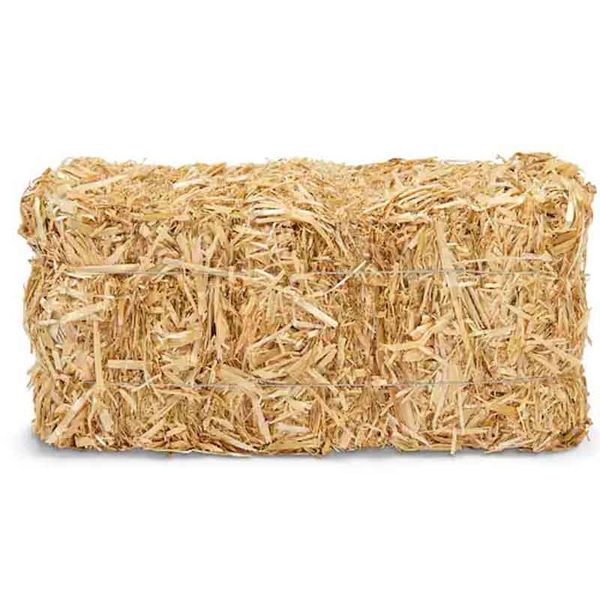 Straw Bale - bedding for various small animals, chickens &amp; farm animals