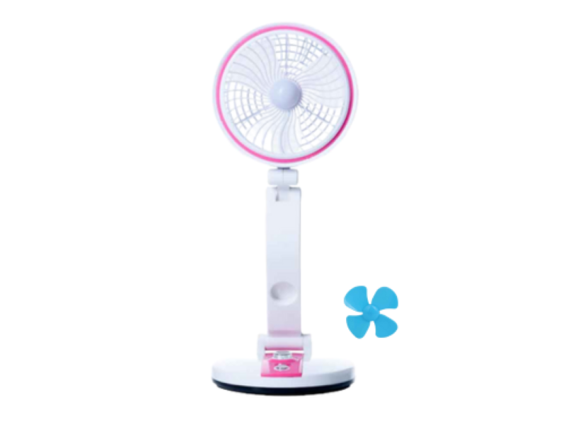 Dansup- Multi- Function Folding Fan