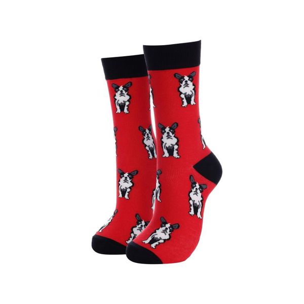 SoGood-Candy - Socks - Red French Bulldog