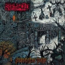Shadows of Past (CD / Album)