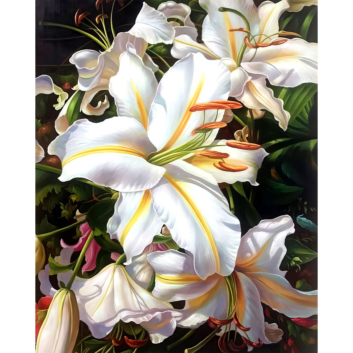 Paint by numbers diy 40cmx50cm frame flower lily white shop today