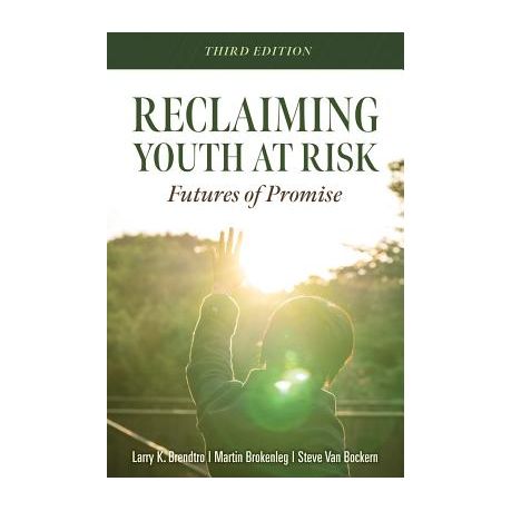 Reclaiming Youth at Risk Image