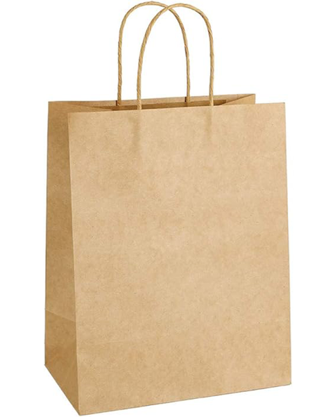 12pcs Brown Kraft Paper Gift Bags with Twisted Handles
