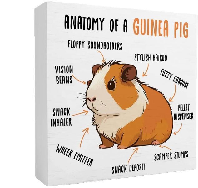Guinea Pigs Decor Wooden Box Sign, Funny Desk Decor, Guinea Lover Gifts