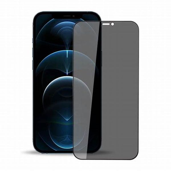 Privacy Tempered Plastic Matte Protector for IPHONE 12 PROMAX