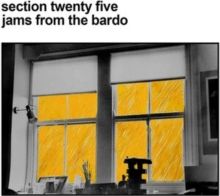 Jams from the Bardo (CD / Album)