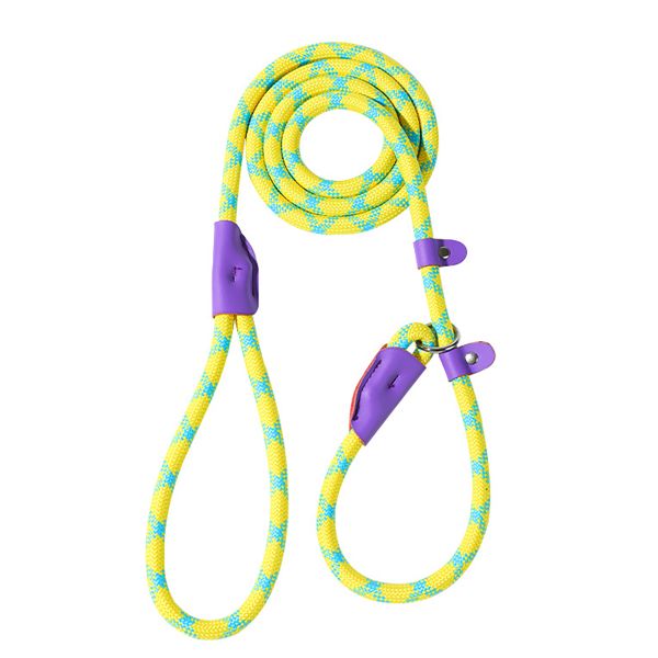 Adjustable Anti-Pull Training P Rope Dog Leash