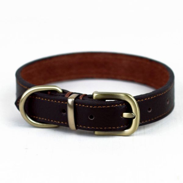 Premium Leather Buckle Collar for Small Dogs - 2cm Width Black