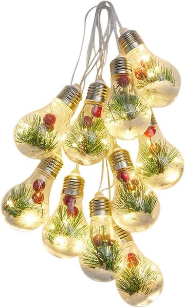 Red Fruit LED Decorative Lights 10 String