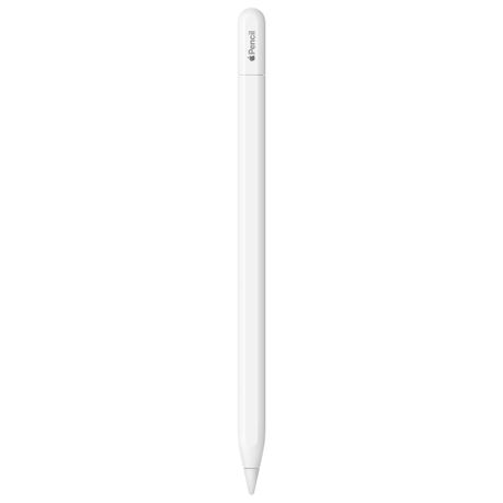 Apple Pencil (USB-C) | Shop Today. Get it Tomorrow! | takealot.com