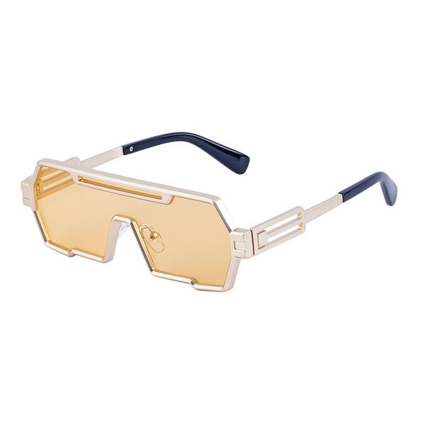 ZELTRYN Retro Sunglasses for Men Steampunk Style Irregular Design