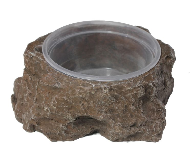 Reptile Delicup Holder - Large - Feeder Bowl