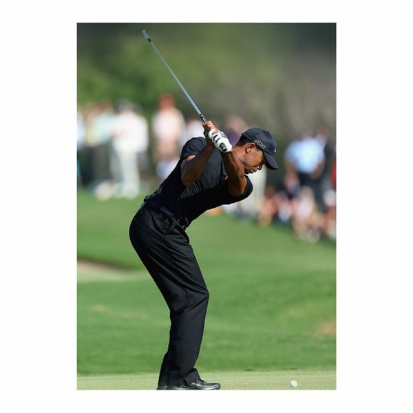 Tiger Woods Golf Sports - A1 Poster