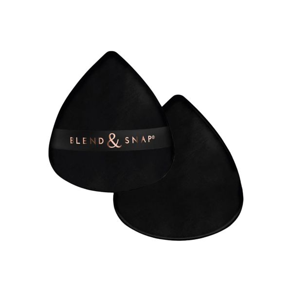 Blend and Snap logo