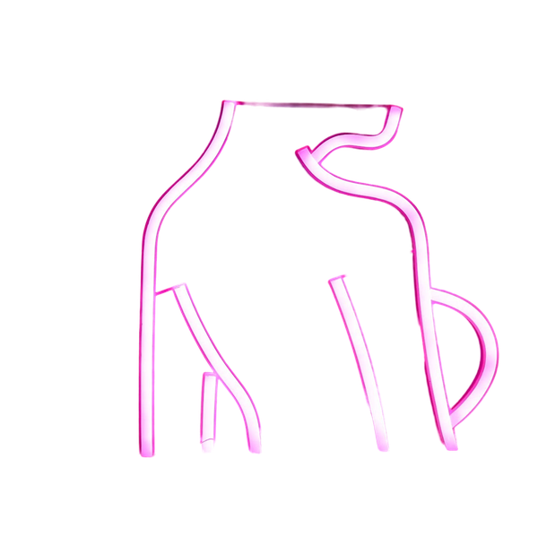 Lady’s Back Silhouette Neon Sign Lamp USB And Battery Operated