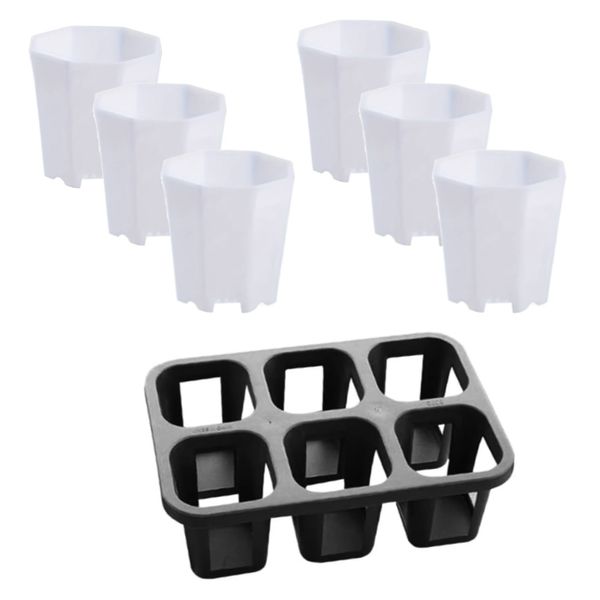Garden Decor Plastic Succulent Plant Pot Set of 6 with Tray - Octagon