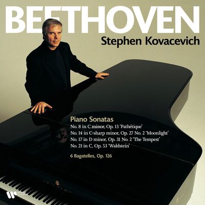 Beethoven: Piano Sonatas (Vinyl / 12" Album)