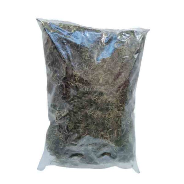Sphagnum Moss For Reptiles, Terrariums and Decor 5L Bag
