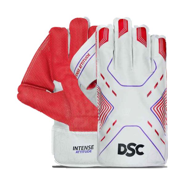 DSC Intense Attitude Wicket Keeping Gloves