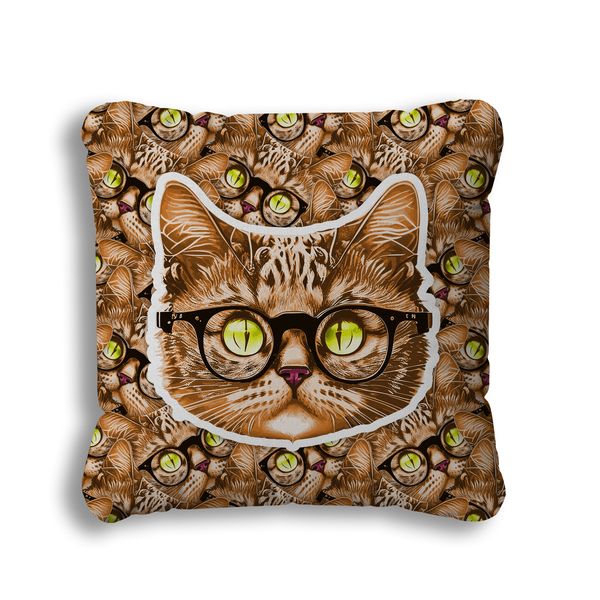 Clever Kitty Pillow