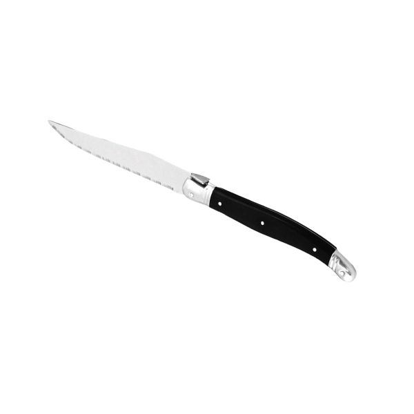 Elegant Steak Knife - 12 Pack