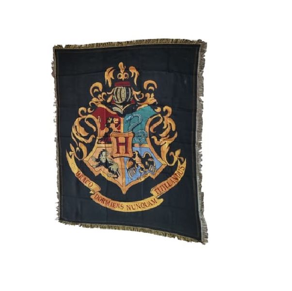 Harry Potter Academy Tapestry or Throw