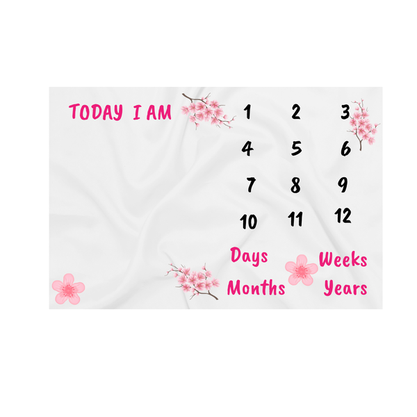Katz Designs Baby Blanket - Pink Flowers Milestone Themed