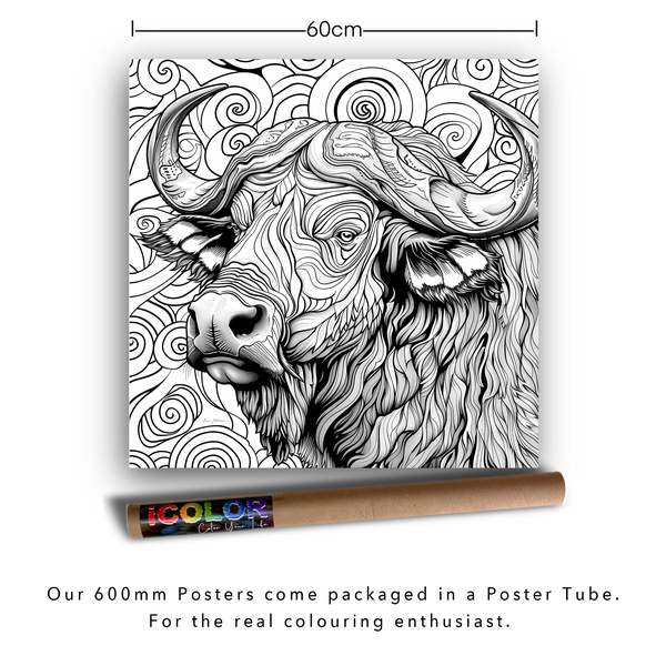 iColor Large Colouring Poster BUFFALO SPIRALS