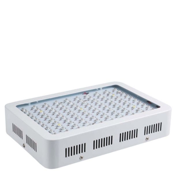 LED Growlight 1000 Watts