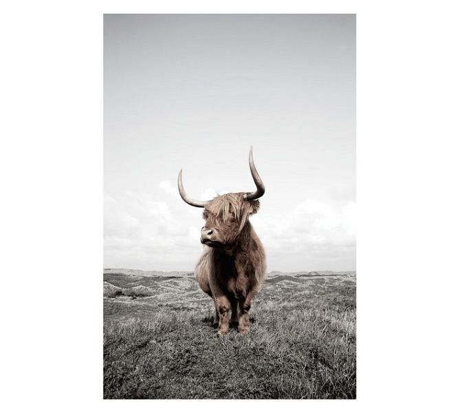Yak Canvas Print - Brown (600 x 900mm)