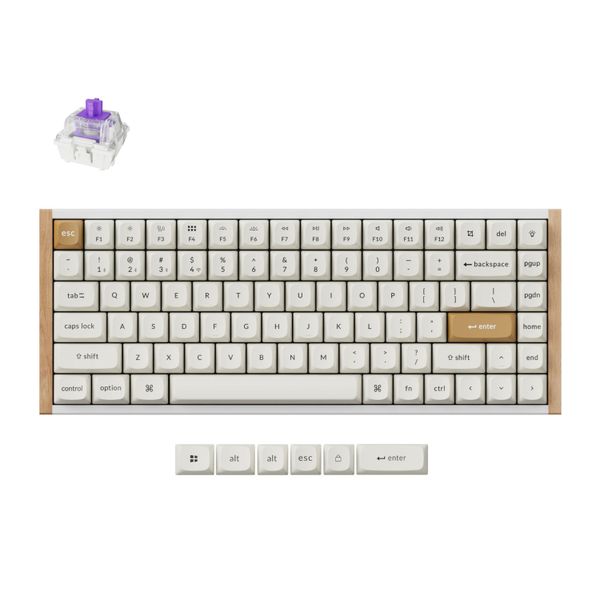 Keychron K2 HE Wireless Special Edition Custom Kbrd NEBULA switch- White