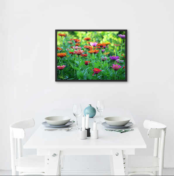 Zinnia Flower Wall Art