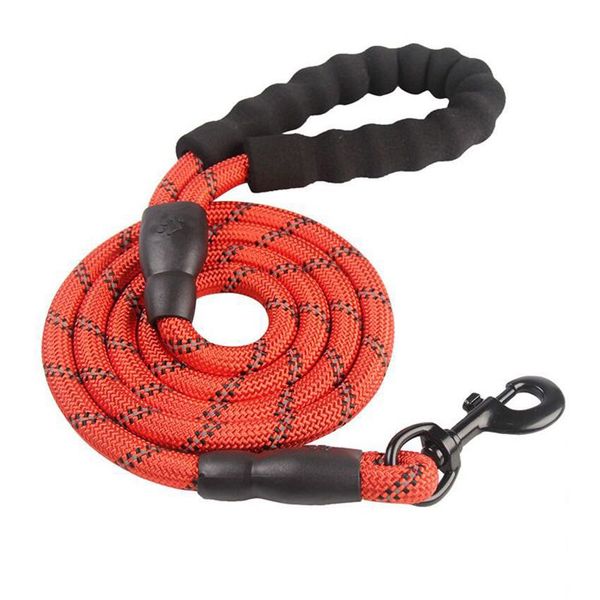 3m Puppy Lead