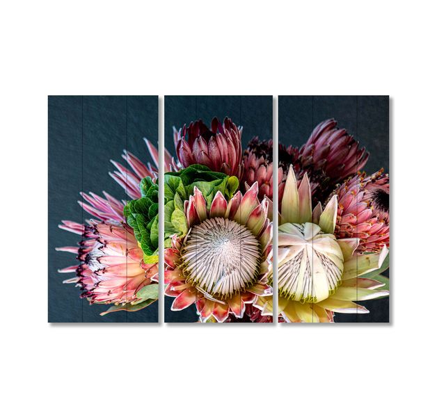 Cape Art Wall Art MDF 3 Piece Collage Protea Bunch