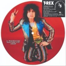 Telegram Sam/Baby Strange (Vinyl / 7" Single Picture Disc)